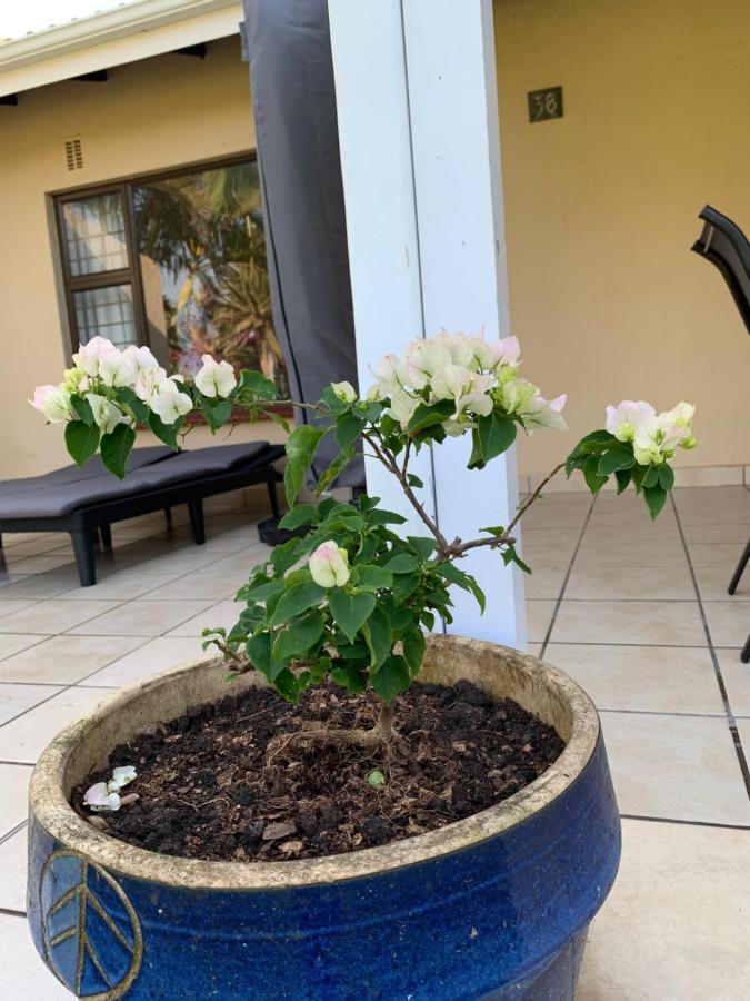 فيلا Sole'S Leap سكوتبرغ المظهر الخارجي الصورة
